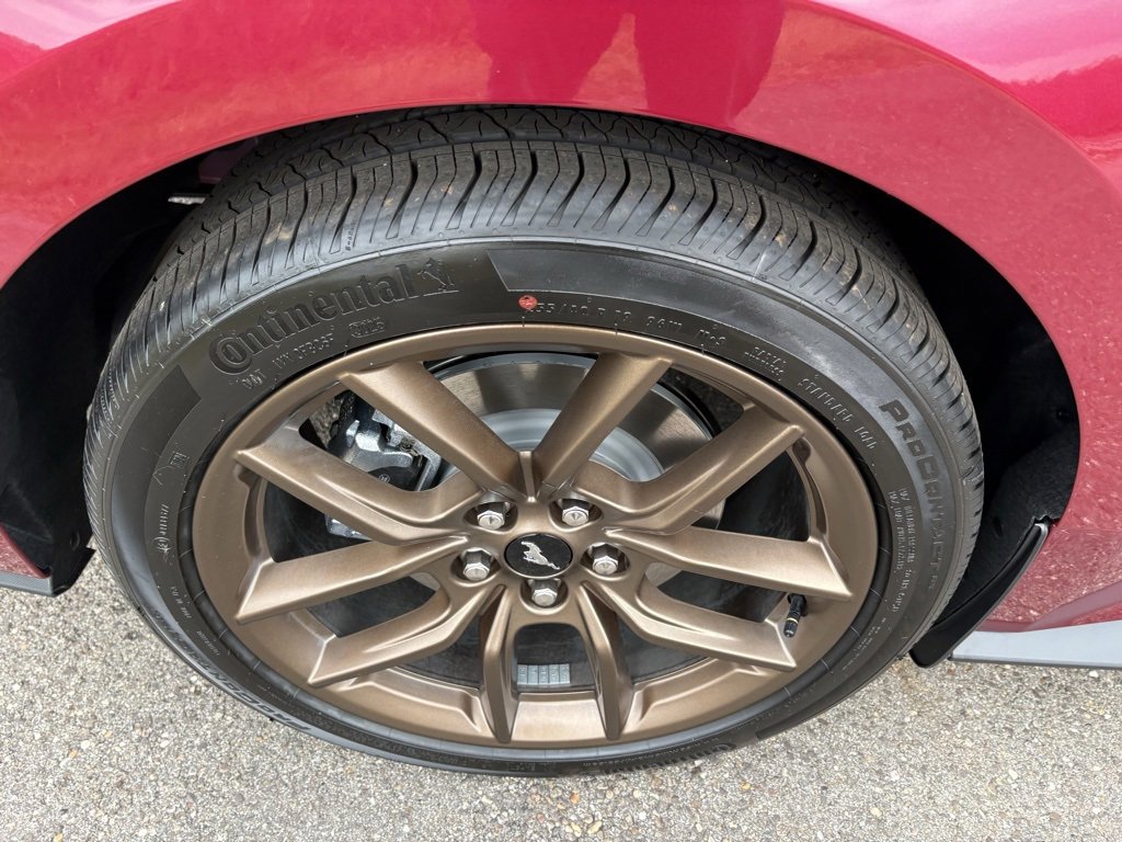 New 2026 Ford Mustang EcoBoost w/ Bronze Appearance Package image 14