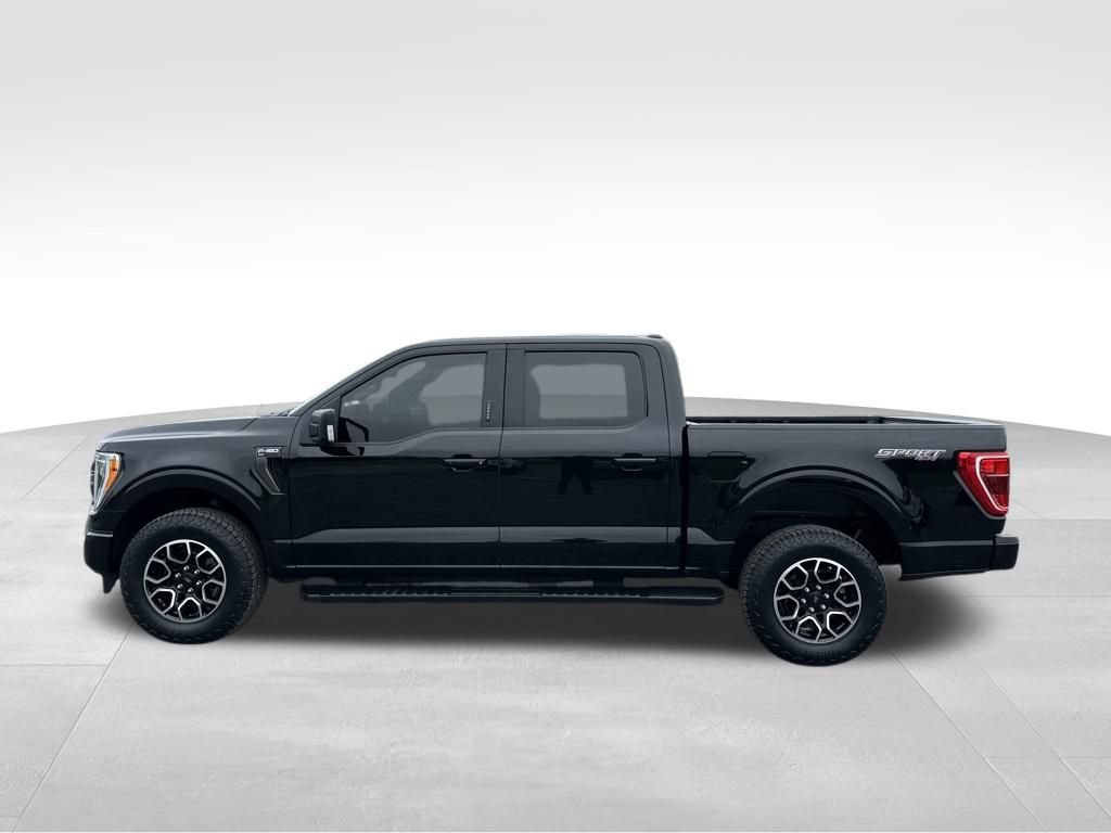 Used 2023 Ford F150 XLT w/ Equipment Group 302A High AWD/4WD image 11