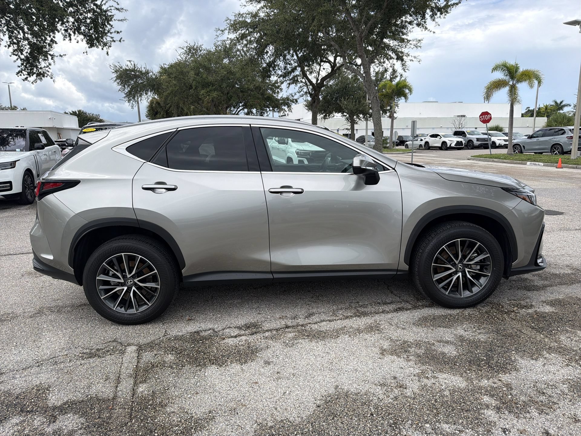 Used 2025 Lexus NX 350h AWD w/ Cold Area Package image 3