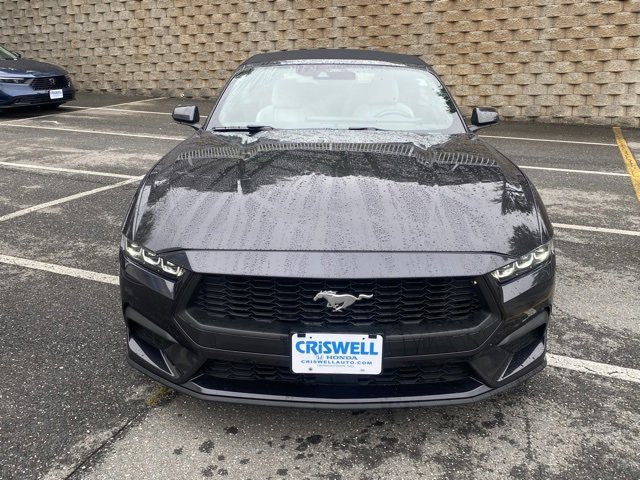 Used 2024 Ford Mustang Premium image 10