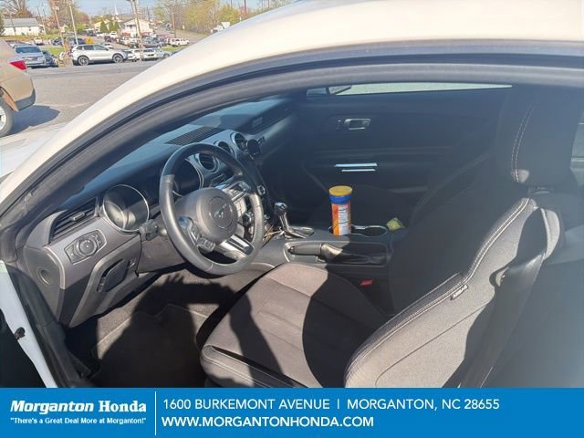 Used 2019 Ford Mustang GT w/ Equipment Group 301A image 14