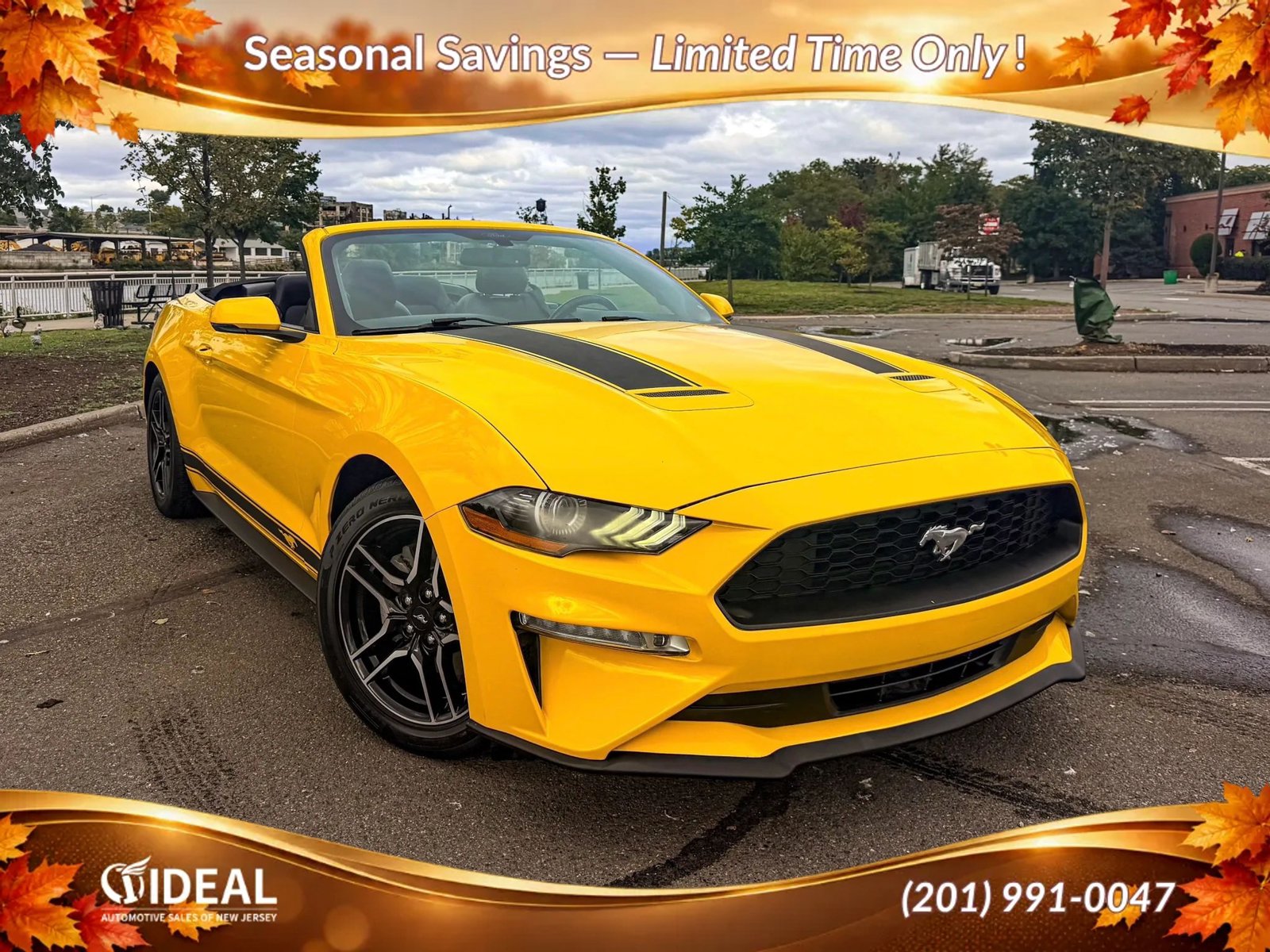 Used 2018 Ford Mustang Premium w/ Equipment Group 201A RWD image 1