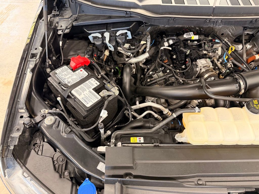 Used 2023 Ford F150 XLT w/ Equipment Group 302A High image 52
