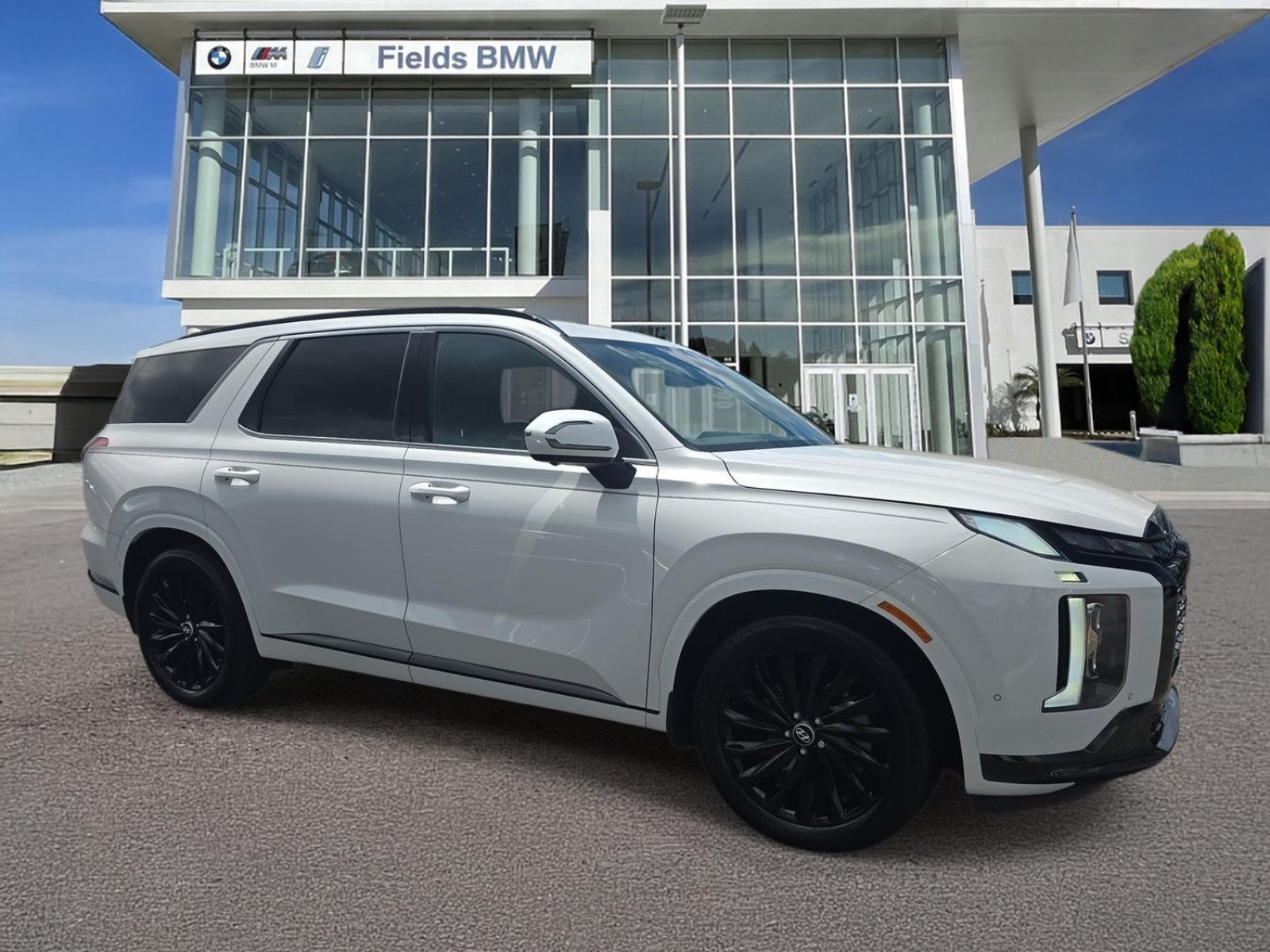 Used 2025 Hyundai Palisade Calligraphy