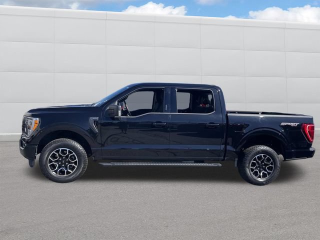 Used 2023 Ford F150 XLT w/ Equipment Group 302A High AWD/4WD image 2