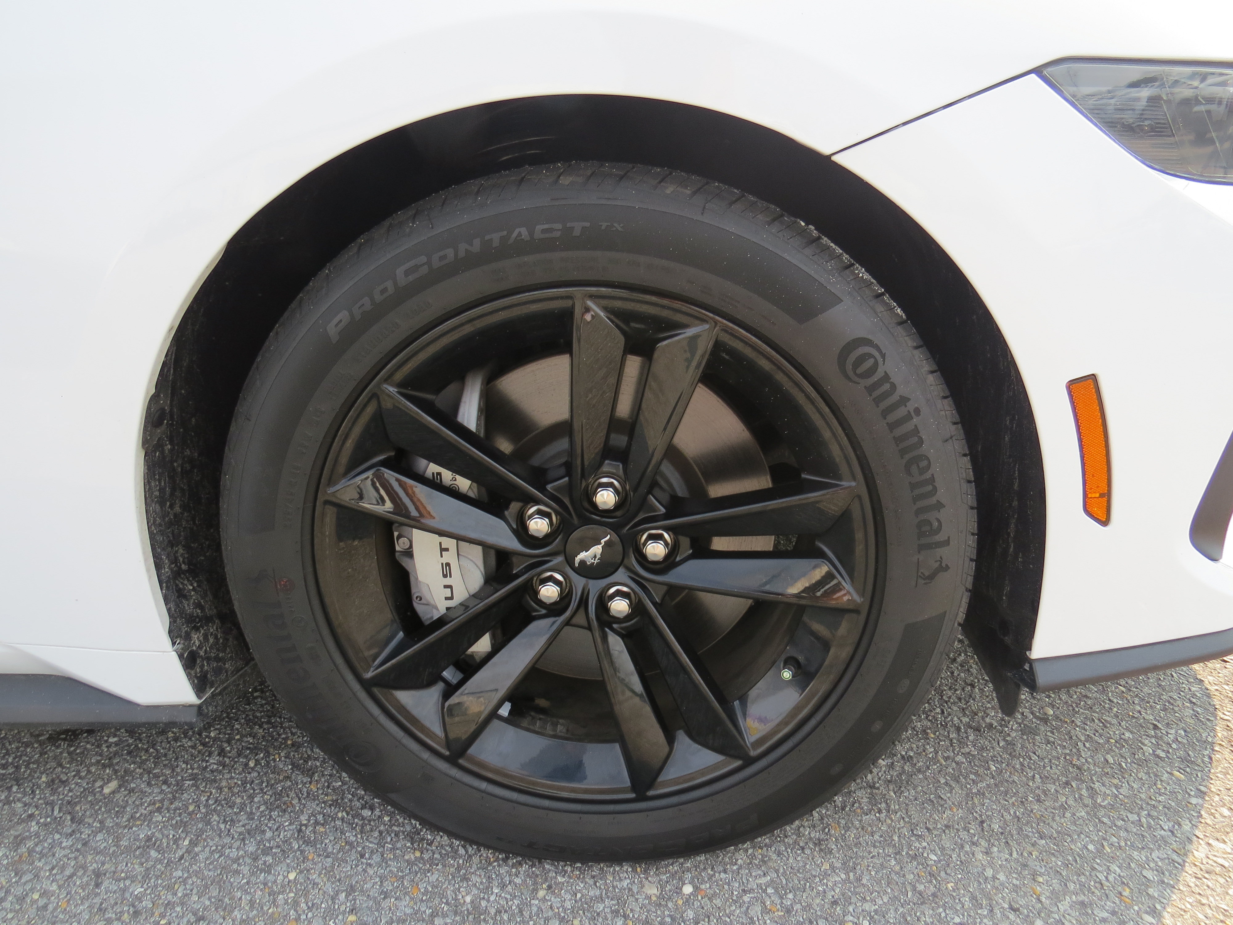 Used 2025 Ford Mustang GT RWD image 10