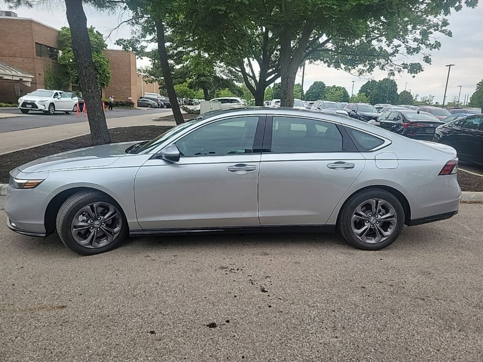 Certified 2024 Honda Accord EX-L image 5
