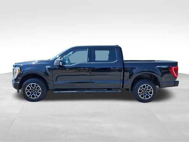 Certified 2022 Ford F150 XLT w/ Equipment Group 302A High AWD/4WD image 8