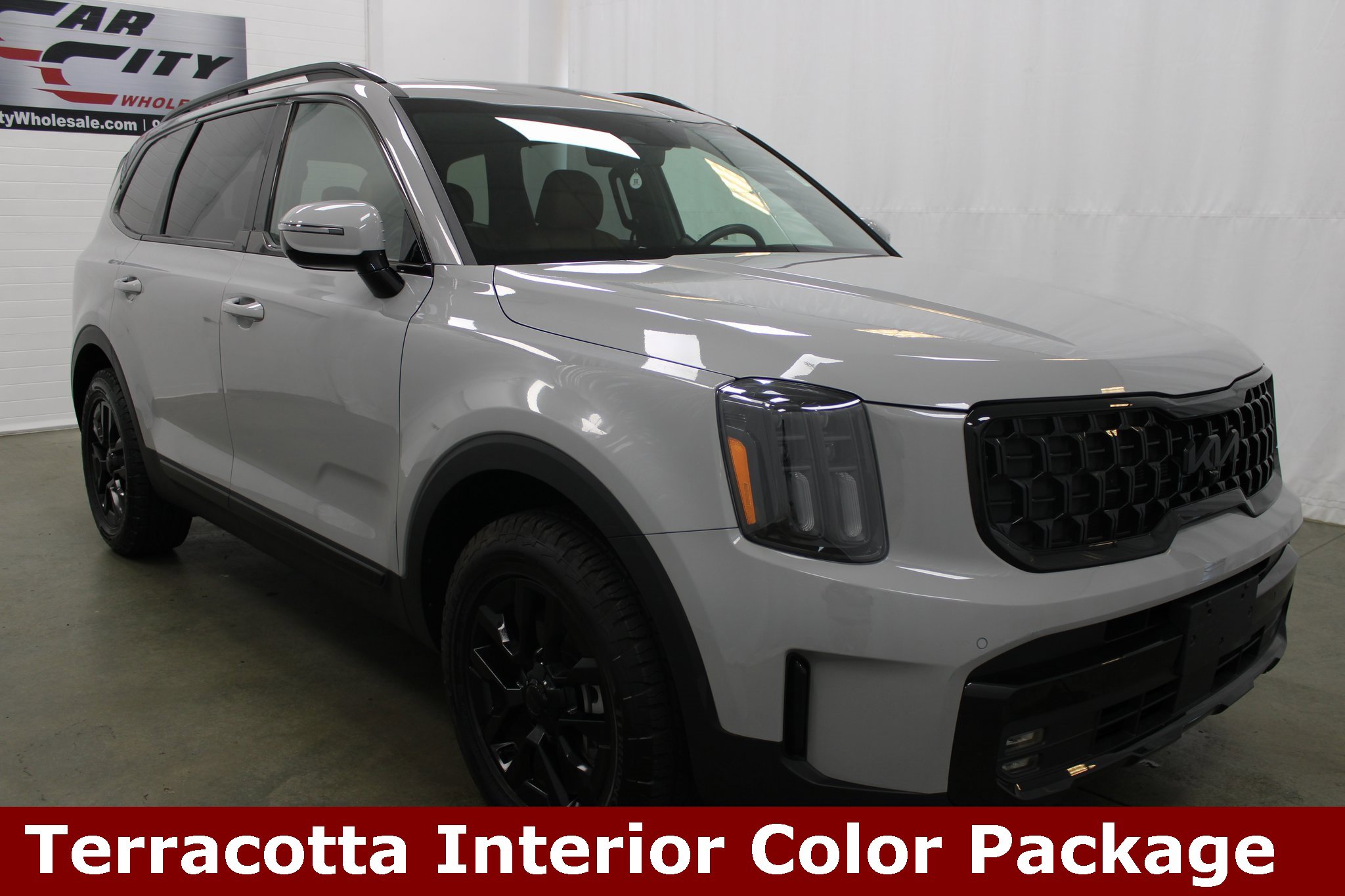 Used 2025 Kia Telluride SX Prestige X-Pro image 3