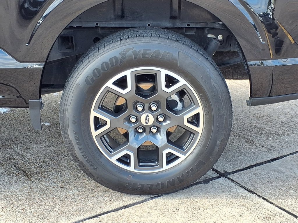 Used 2025 Ford F150 STX w/ Equipment Group 200A RWD image 30