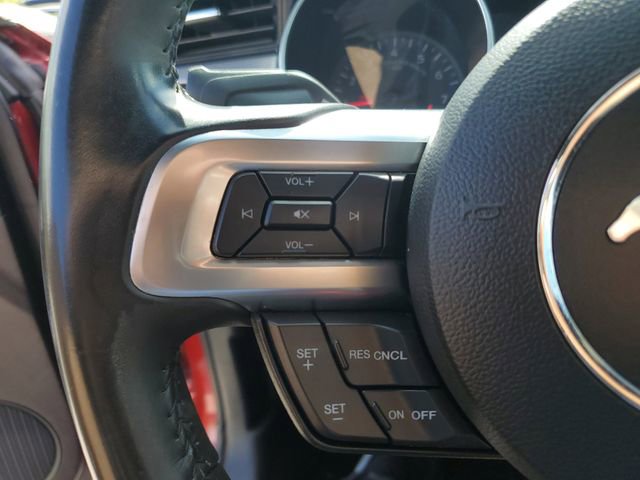 Used 2019 Ford Mustang GT w/ Equipment Group 301A image 12