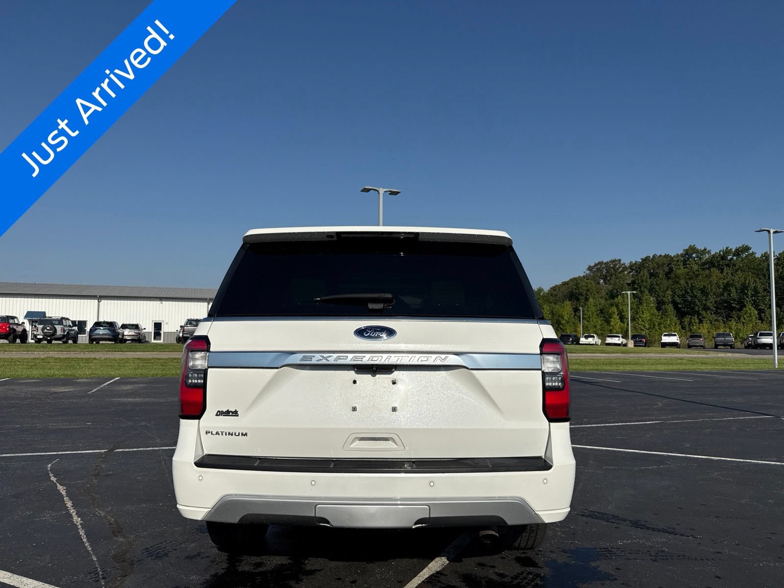 Used 2020 Ford Expedition Platinum AWD/4WD image 5