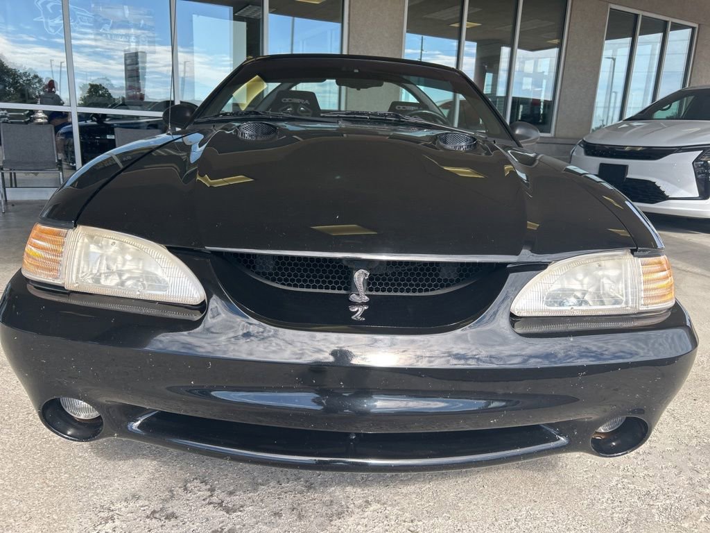 Used 1997 Ford Mustang Cobra RWD image 8