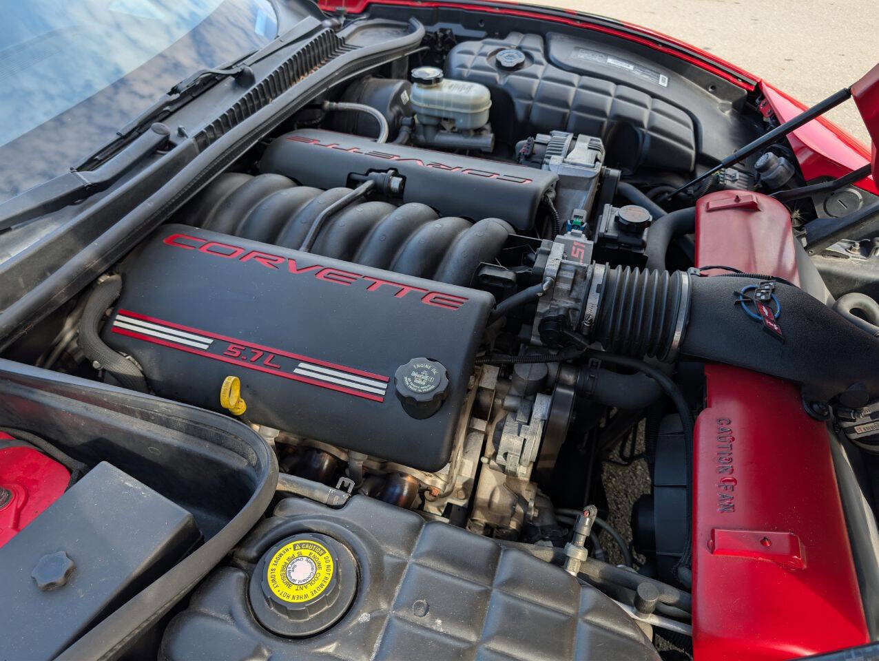 Used 2000 Chevrolet Corvette Coupe w/ Roof Pkg image 19