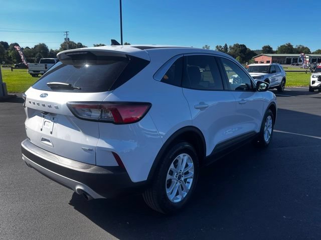 Used 2020 Ford Escape SE AWD/4WD image 5