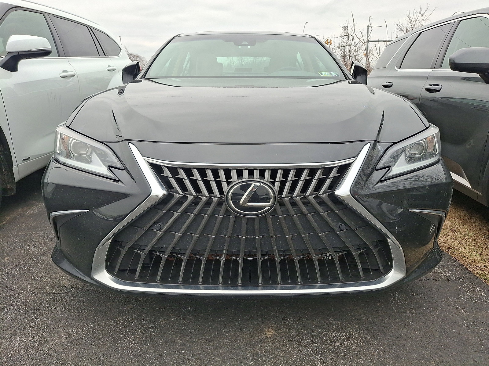 Used 2023 Lexus ES 350 w/ Premium Package image 2