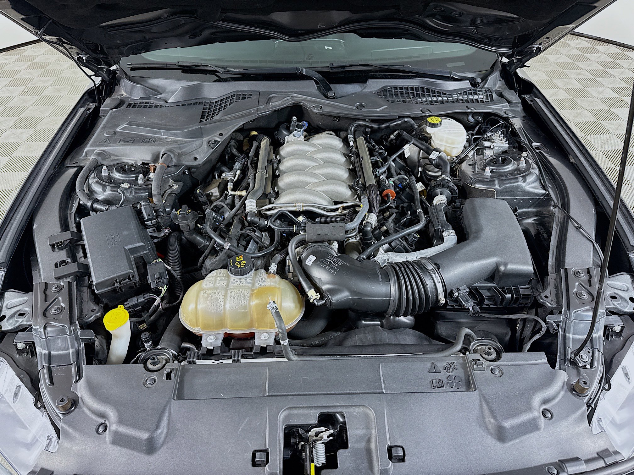Used 2019 Ford Mustang GT w/ Equipment Group 301A RWD image 37