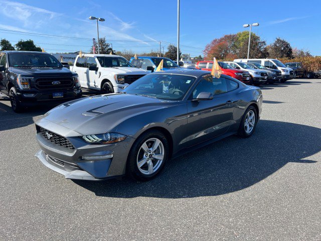 Certified 2021 Ford Mustang Ecoboost image 3
