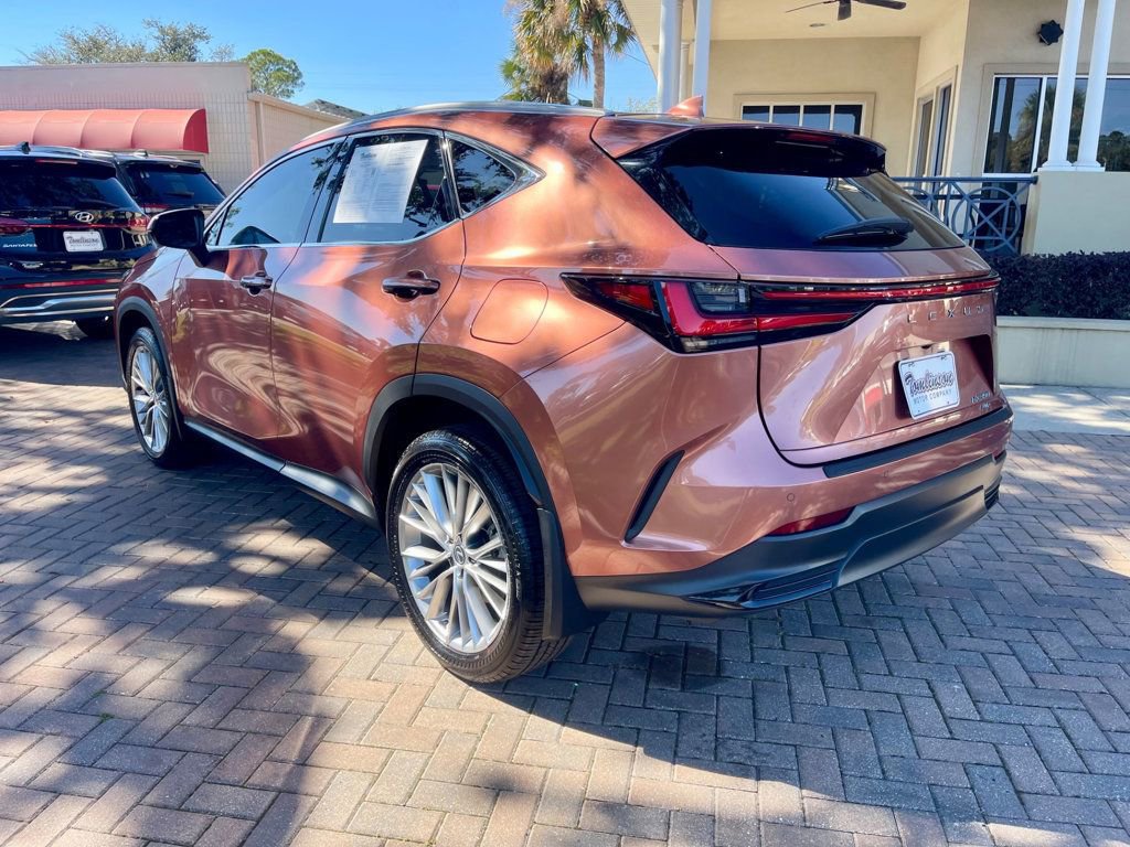 Used 2025 Lexus NX 350 AWD w/ Luxury Package image 3