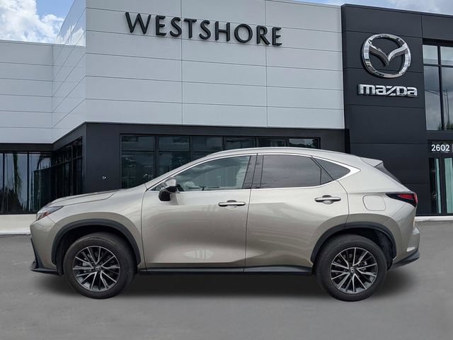 Used 2024 Lexus NX 250 FWD w/ Towing Package (2000 Lbs) image 5