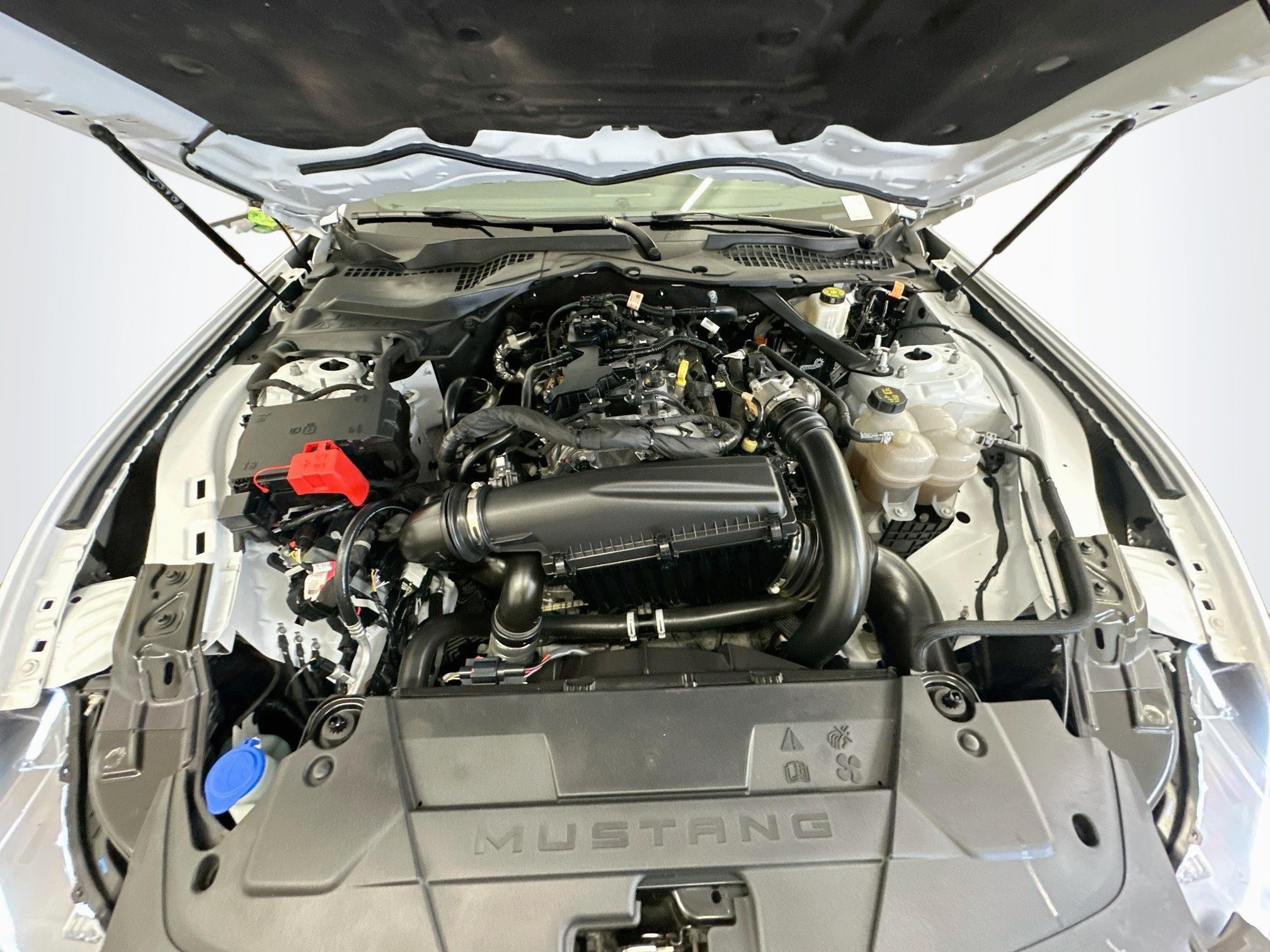 Used 2024 Ford Mustang Premium RWD image 32