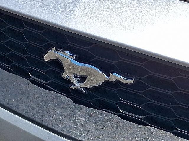 Used 2019 Ford Mustang Premium RWD image 28