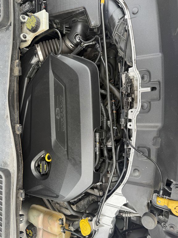 Used 2015 Ford Escape Titanium image 24