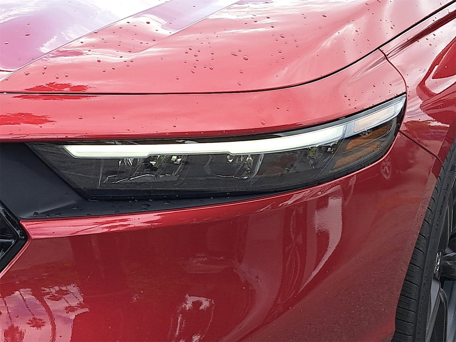 New 2025 Honda Accord Sport image 31