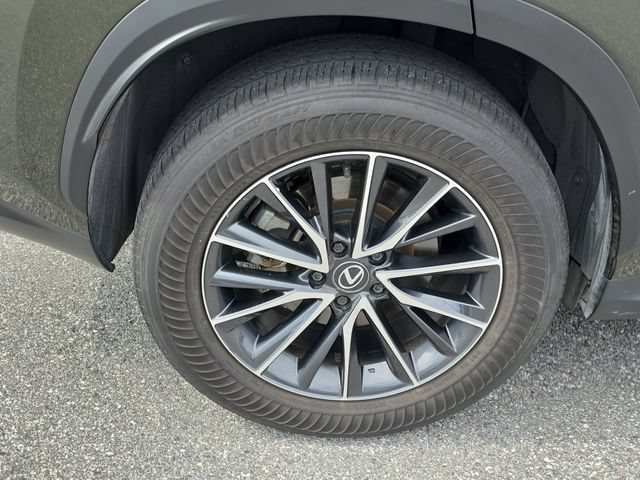 Used 2024 Lexus NX 250 FWD w/ Cold Area Package image 5