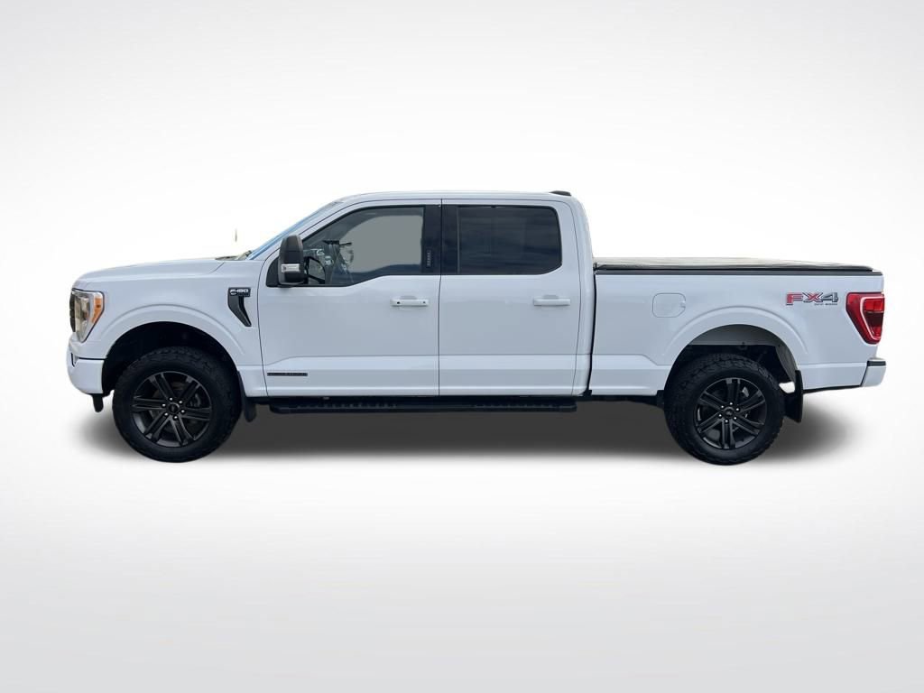 Used 2021 Ford F150 XLT w/ Equipment Group 302A High video 2