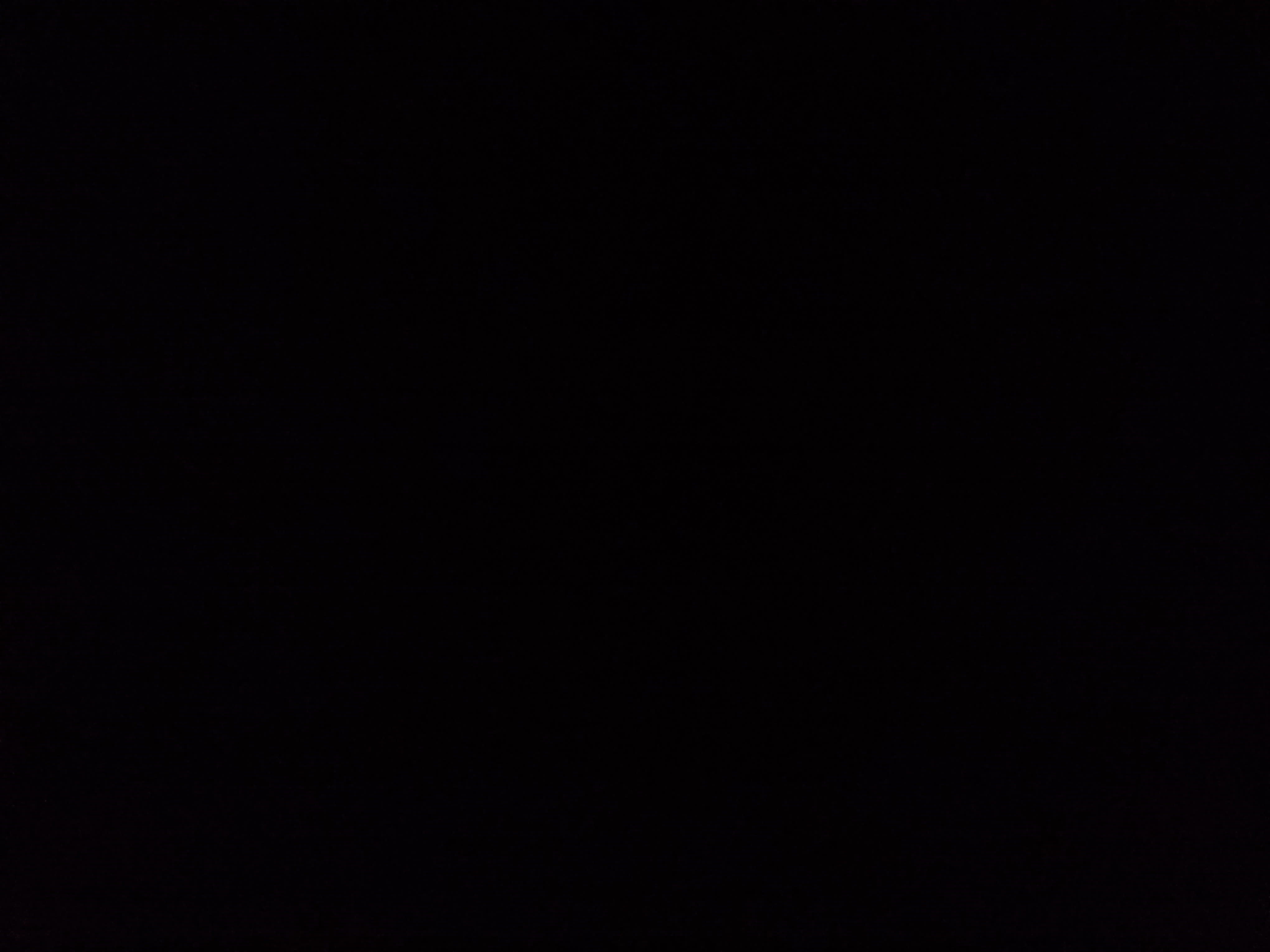 Used 2025 Audi RS 7 Performance image 13