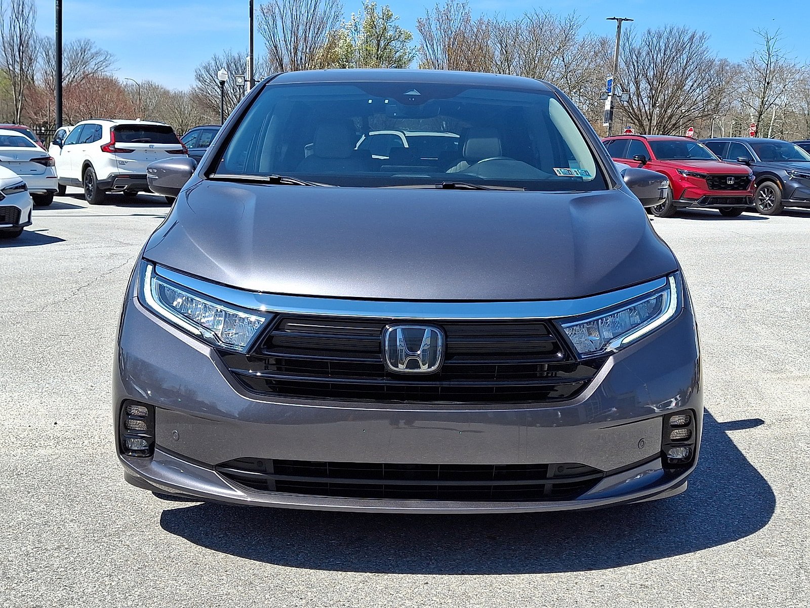 Used 2024 Honda Odyssey Elite image 2