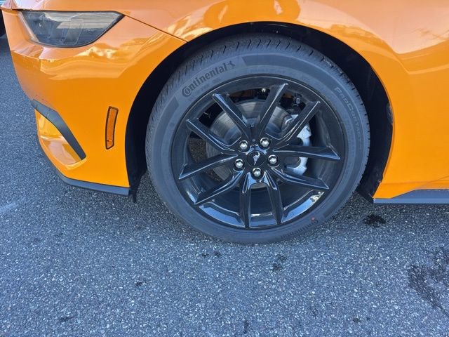 New 2026 Ford Mustang Coupe w/ Mustang Nite Pony Package RWD image 10