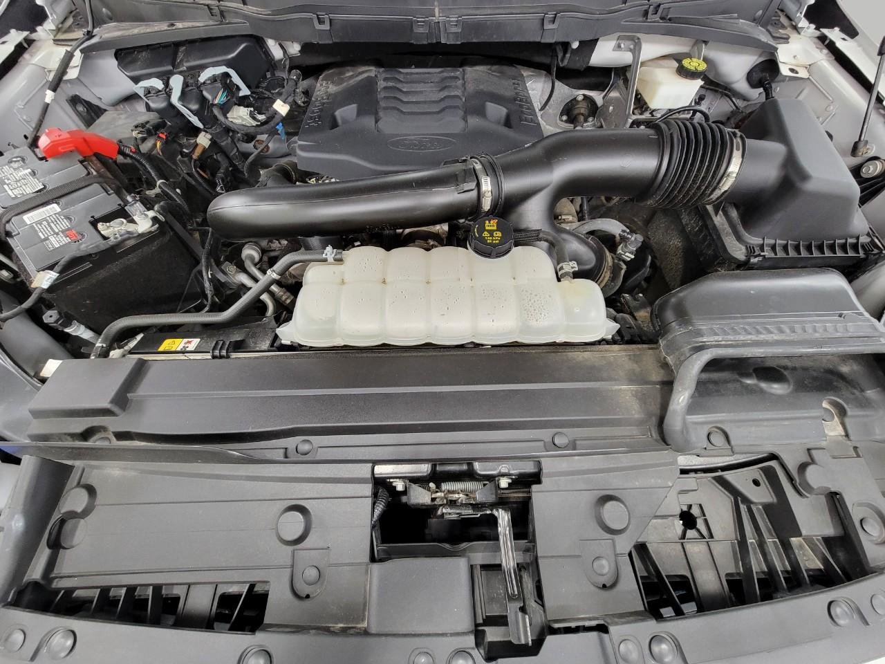 Used 2023 Ford F150 Tremor AWD/4WD image 9