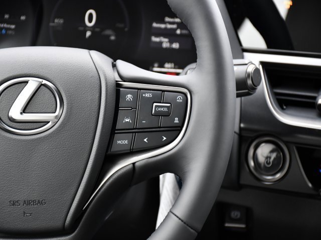 New 2025 Lexus UX 300h AWD image 23