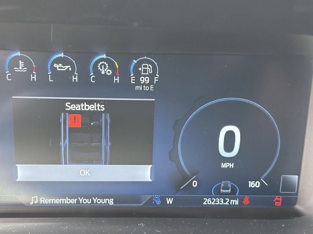 Used 2024 Ford Expedition Platinum RWD image 30