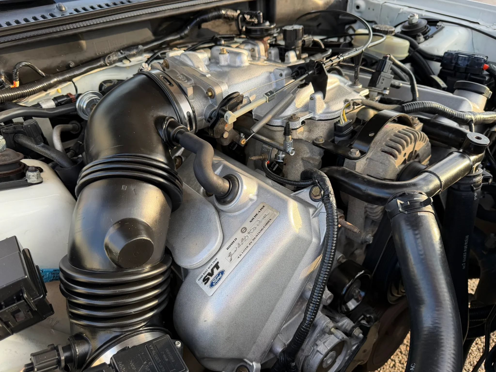 Used 1999 Ford Mustang Cobra RWD image 42