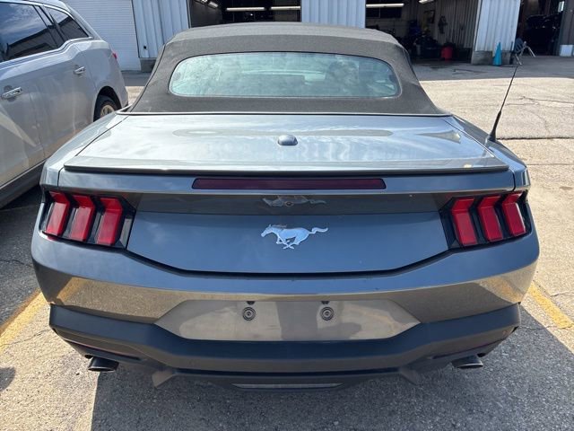 Used 2024 Ford Mustang Premium image 5