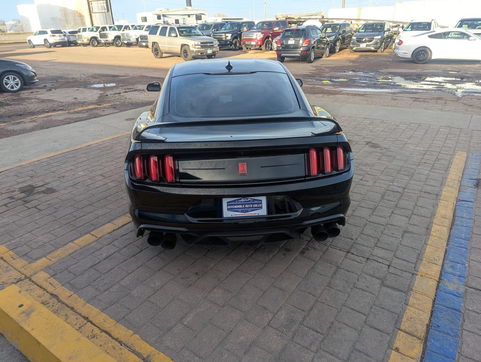 Used 2020 Ford Mustang Shelby GT350R w/ GT350R Equipment Group 920A RWD image 4