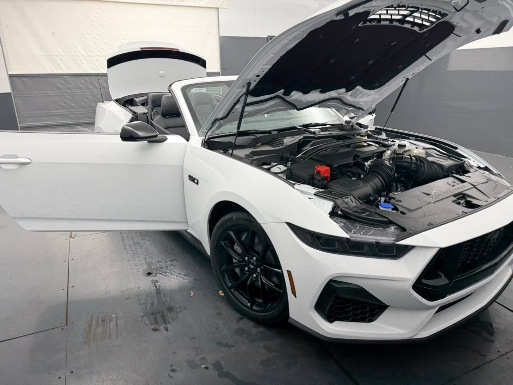 New 2025 Ford Mustang GT Premium w/ Mustang Nite Pony Package RWD image 15
