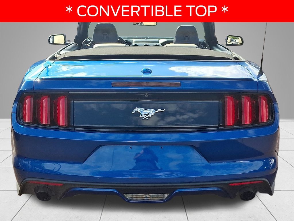 Used 2017 Ford Mustang Premium w/ Equipment Group 201A RWD image 5