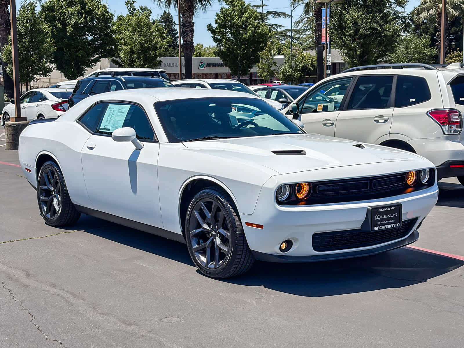 Used 2023 Dodge Challenger SXT w/ Blacktop Package RWD image 5