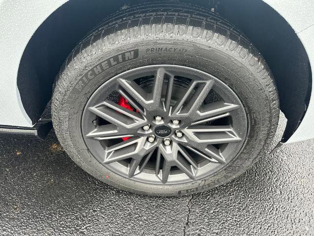 New 2025 Ford Expedition Platinum w/ Stealth Performance Package image 28