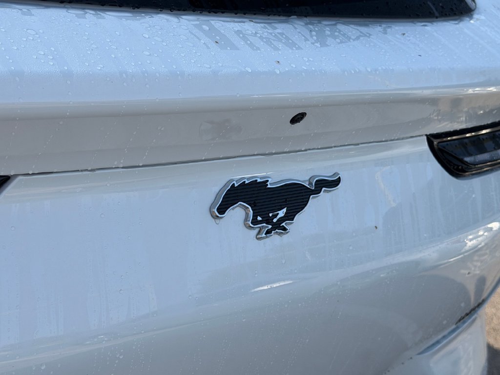 Used 2026 Ford Mustang Mach-E Premium RWD image 14