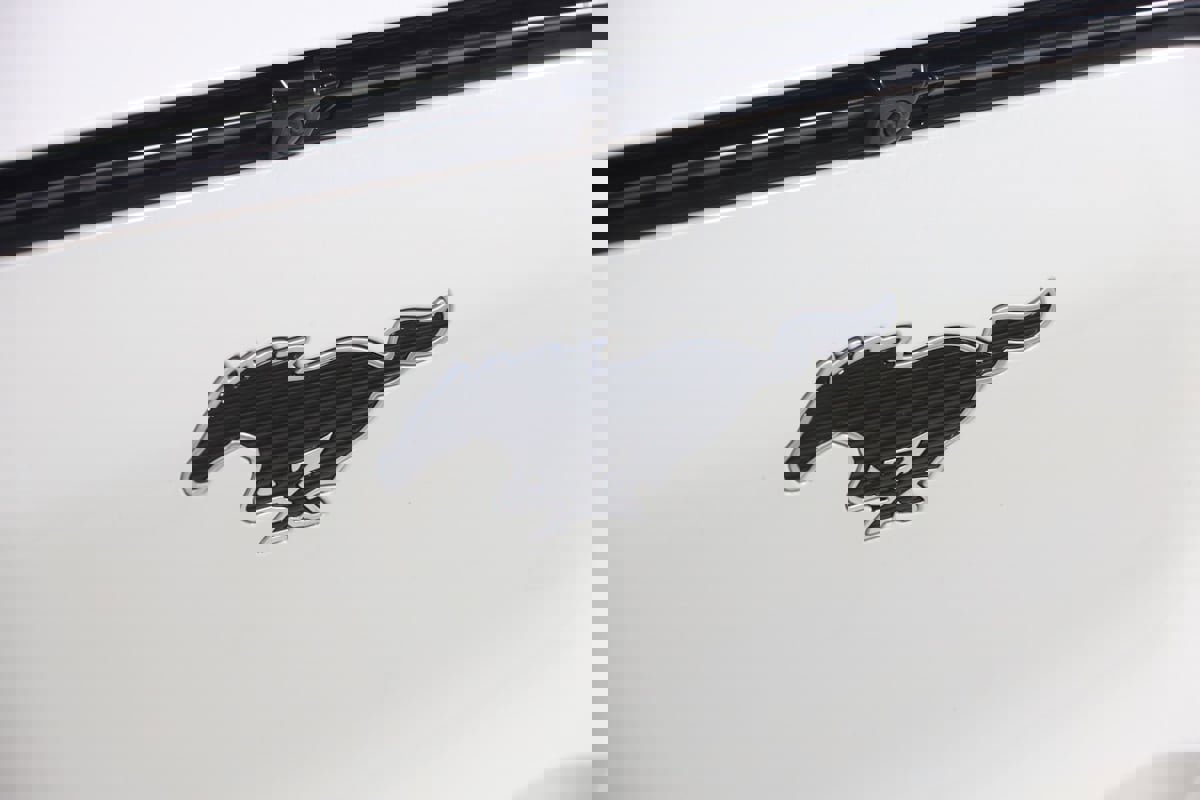 Used 2021 Ford Mustang Mach-E Premium image 18