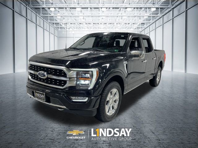 Used 2023 Ford F150 Platinum image 1