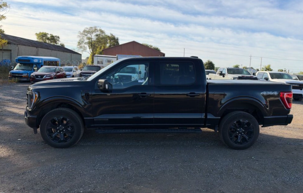 Used 2023 Ford F150 XLT w/ Equipment Group 302A High AWD/4WD image 3