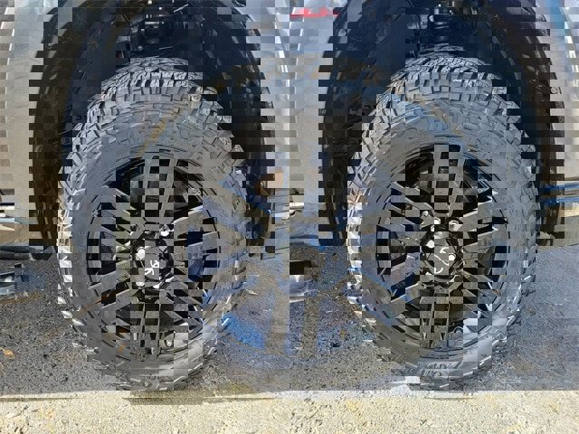 Used 2019 Toyota 4Runner Limited image 19