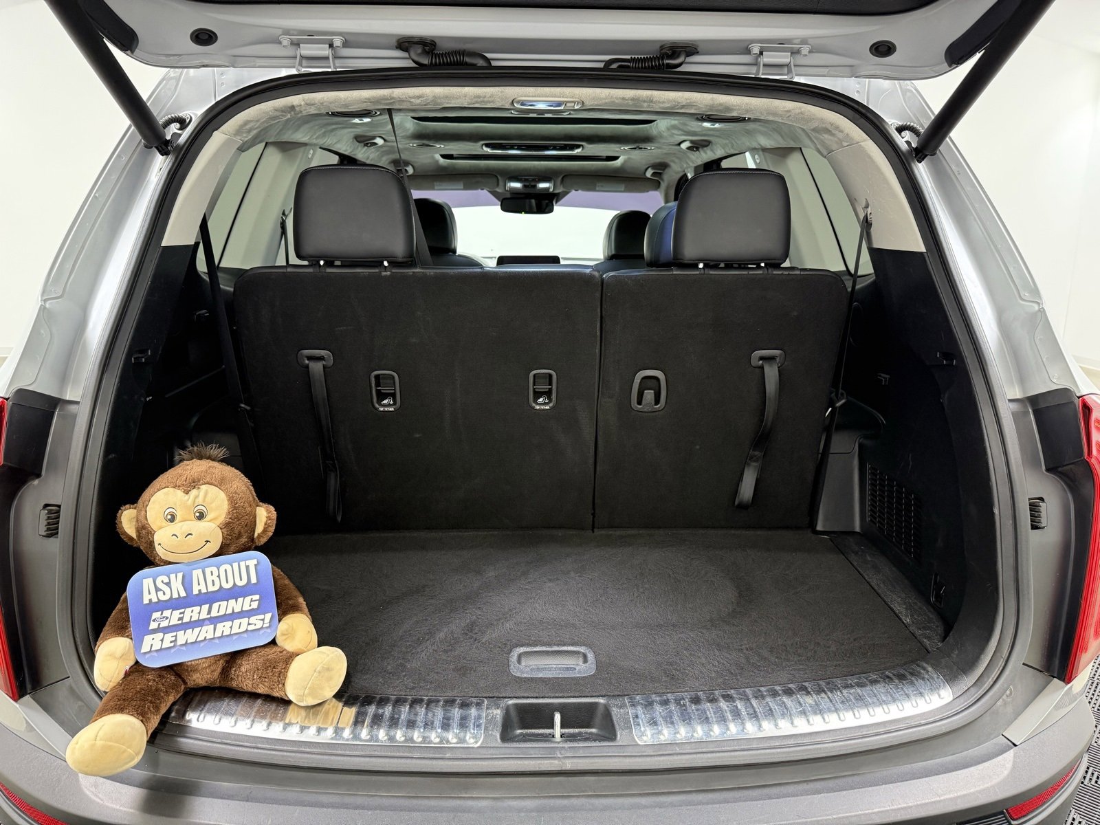 Used 2022 Kia Telluride SX w/ SX Prestige Package image 8