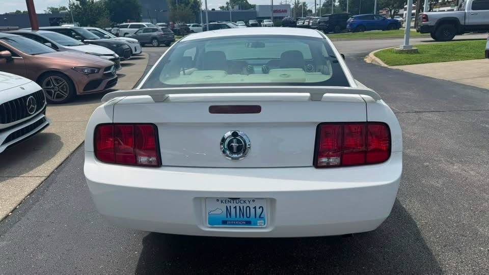 Used 2006 Ford Mustang Coupe RWD image 4